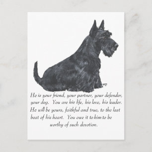 Carte Postale Garde de Terrier Écossais - Chien MÂLE