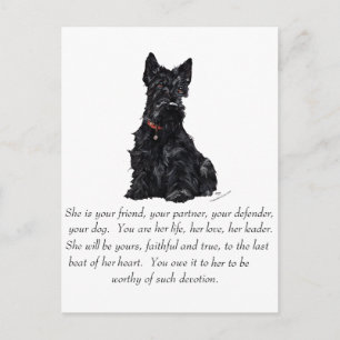 Carte Postale Garde-mémoire Terrier Écossais - FEMELLE