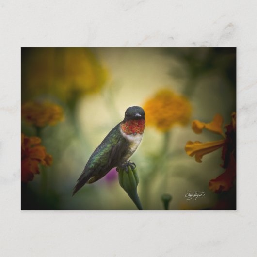 Carte Postale Garde permanente (Devant)