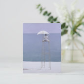 Carte Postale Garde-plage 2004 (Debout devant)