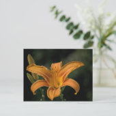 Carte postale Garden Delight (Debout devant)