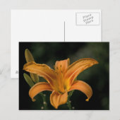 Carte postale Garden Delight (Devant / Derrière)