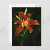 Carte postale Garden Flame (Devant / Derrière)