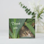Carte Postale Garden Kitty (Debout devant)