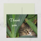Carte Postale Garden Kitty (Devant / Derrière)