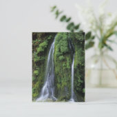 Carte postale Garden of Eden (Debout devant)