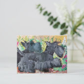 Carte Postale Garden Scottish Terriers (Debout devant)