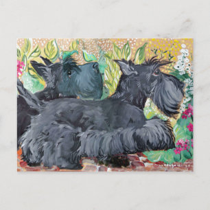 Carte Postale Garden Scottish Terriers