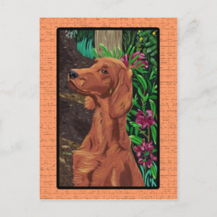 Carte postale Garden Setter