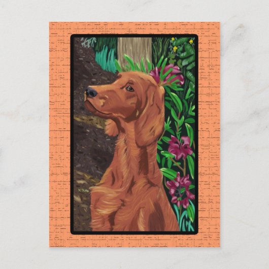Carte postale Garden Setter (Devant)