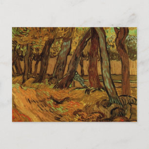 Carte Postale Garden St Paul Hospital Figure de Vincent van Gogh