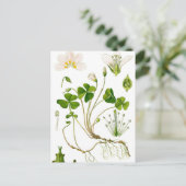 Carte Postale Gardener (Debout devant)