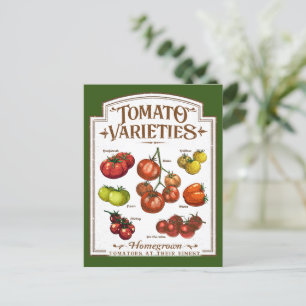 Carte Postale Gardener de tomates, jardinage de tomates végétale