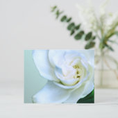 Carte Postale Gardenia (Debout devant)