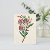 Carte Postale Gardenia Vintage Botanique (Debout devant)