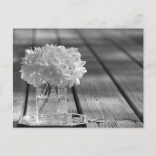 Carte Postale Gardenias