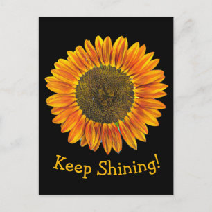 Carte Postale Garder brillant Tournesol jaune et orange sur le n