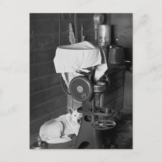 Carte Postale Garder le séparateur de crème, 1936 (Devant)