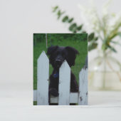 Carte Postale garder un oeil dehors (Debout devant)
