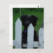 Carte Postale garder un oeil dehors (Devant / Derrière)