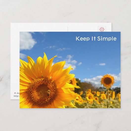Carte Postale Gardez les choses simples avec les tournesols (Devant / Derrière)