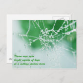 Carte Postale Gardez vos espoirs (Devant / Derrière)