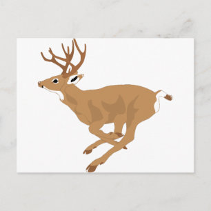 Carte Postale Gardez Votre Calme Chassez Cerf Venaison Bois Anim