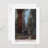 Carte Postale Gare de Big Tree (Devant / Derrière)