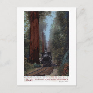 Carte Postale Gare de Big Tree