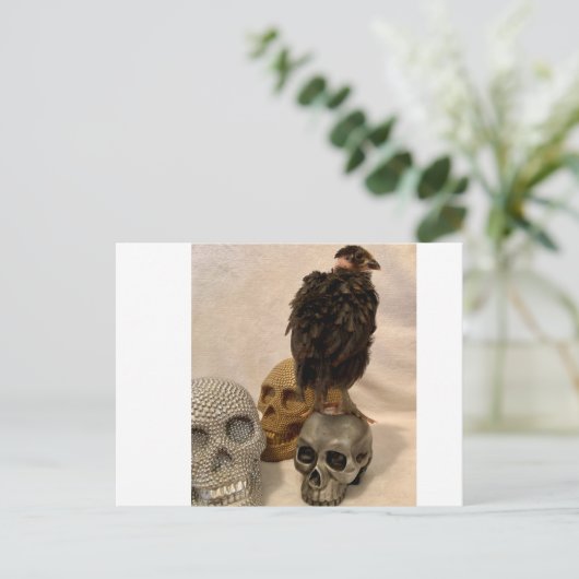 Carte Postale Gargoyle (Debout devant)