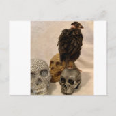 Carte Postale Gargoyle (Devant)