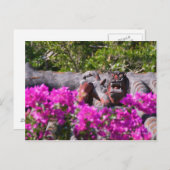 Carte Postale Gargoyle japonais (Devant / Derrière)