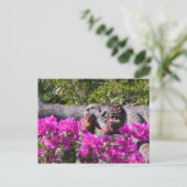 Carte Postale Gargoyle japonais (Debout devant)