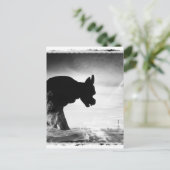 CARTE POSTALE GARGOYLE NOTRE DAME PARIS FRANCE (Debout devant)