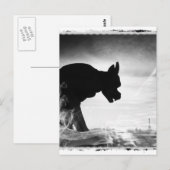 CARTE POSTALE GARGOYLE NOTRE DAME PARIS FRANCE (Devant / Derrière)