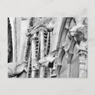 Carte Postale Gargoyles, cathédrale Notre-Dame de Paris, Paris