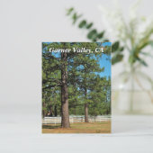 Carte postale Garner Valley (Debout devant)