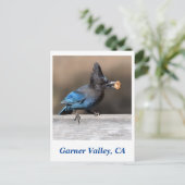 Carte postale Garner Valley (Debout devant)