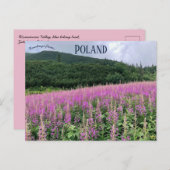 Carte Postale Gąsienicowa Valley Zakopane Pologne (Devant / Derrière)