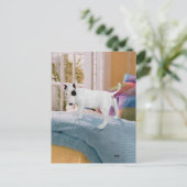 Carte Postale Gâté ? chiot Bull Terrier... Pas du tout (Debout devant)