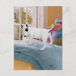 Carte Postale Gâté ? chiot Bull Terrier... Pas du tout