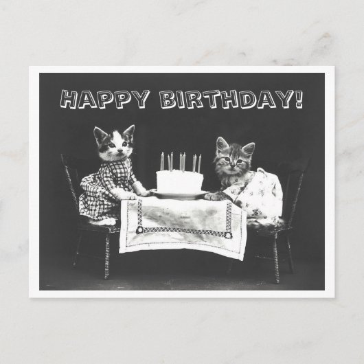 Carte Postale Gâteau d'anniversaire de chat vintage Oddity (Devant)