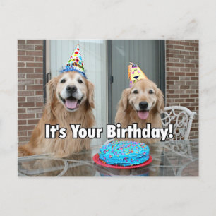 Carte Postale Gâteau d'anniversaire de Golden Retriever