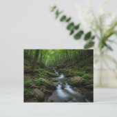 Carte Postale Gatlinburg , Tennessee Forest waterfall (Debout devant)
