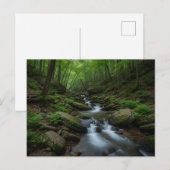 Carte Postale Gatlinburg , Tennessee Forest waterfall (Devant / Derrière)