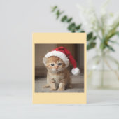 Carte Postale Gato fofo em noite de Natal. (Debout devant)