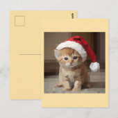 Carte Postale Gato fofo em noite de Natal. (Devant / Derrière)