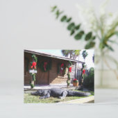 Carte Postale Gator (Debout devant)