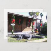 Carte Postale Gator (Devant / Derrière)