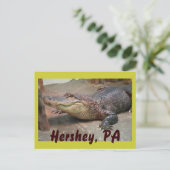 Carte Postale Gator Salutation de Hershey (Debout devant)